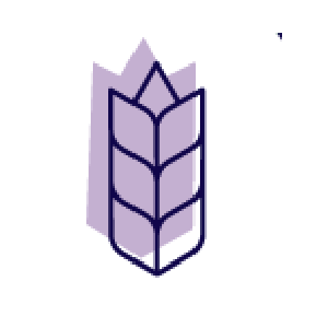 Incorporation of Starch