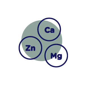 full micronutrient profile