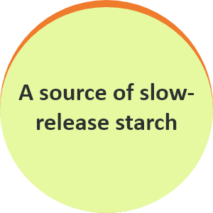 a source of slow release starch