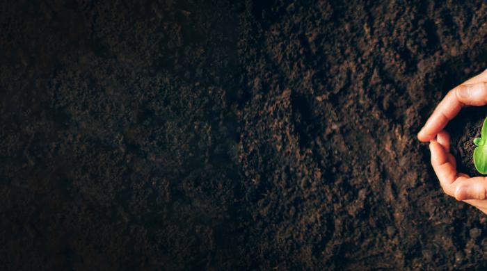 Eco Banner