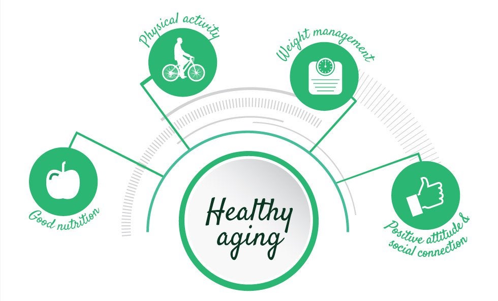 The four allies of healthy aging illustration.