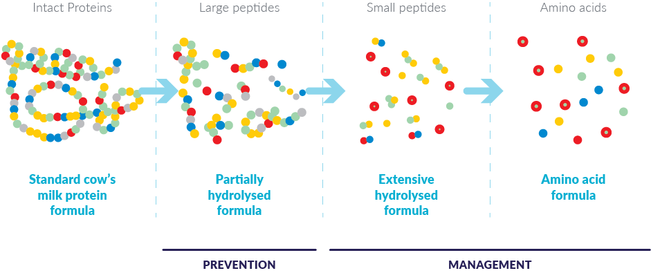 There are two types of formulas recommended for the management of CMPA: extensively hydrolyzed formulas and amino acid-based formulas